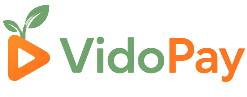 VidoPay Logo
